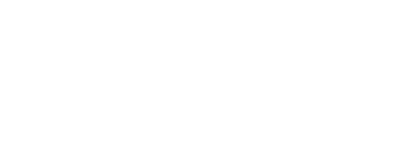 Armadillo Bar and Grill